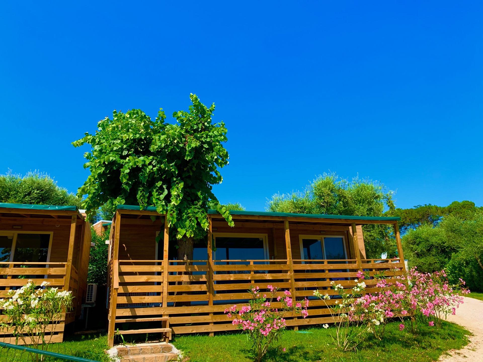 Casa mobile Extra Large Dog ampia casetta lago di Garda cani ammessi - camera matrimoniale 